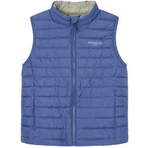 Hackett London Gilet voor jongens, blauw (Avio), 13 jaar, Blauw (Avio), 13 jaar