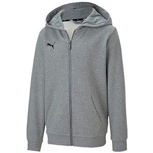 PUMA Unisex Kinder, teamGOAL 23 Casuals Hooded Jacket Jr Kapuzenjacke, Medium Gray Heather, 140