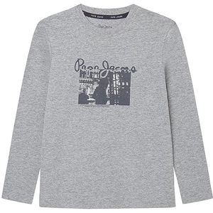 Pepe Jeans Jongen Pendance T-shirt, Grijs (Grijs Marl), 14 jaar