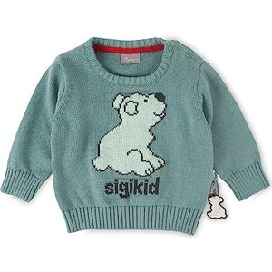 Sigikid Baby Polar Expedition Pullover voor jongens, turquoise, 74 cm