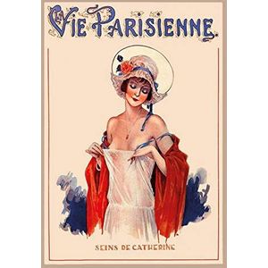 Schatzmix La Vie Parisienne vrouw in doorzichtige jurk 20x30 deco tin Sign blikken bord, blik, meerkleurig, 20x30 cm