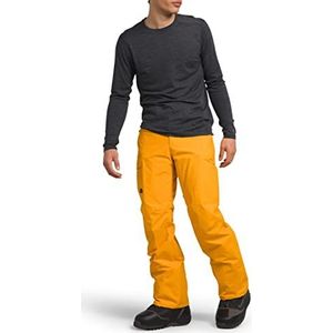 THE NORTH FACE Freedom Pants Summit Goud L