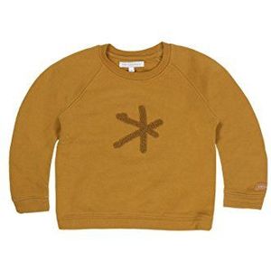 Bellybutton Kids Sweatshirt voor jongens met 1/1 mouw, bruin (Sudan Brown|brown 6064), 110 cm