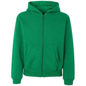 Mukua Byron Kids Sweatshirt met ritssluiting en capuchon, groen (Kelly Green), maat 9/11