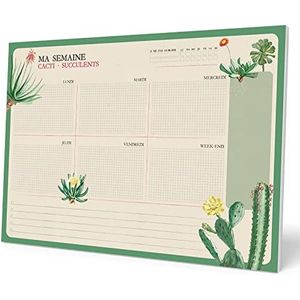 Kokonote A4 Weekplanner Botanical Cacti - Bureauplanner met 54 afscheurbare vellen - Tafelkalender - Frans