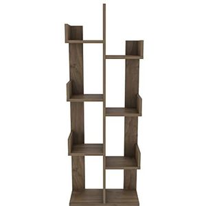 Luisa 137 cm Tall Modern Accent Ladder Stijl Boekenenkast Boekenplank (Walnoot)