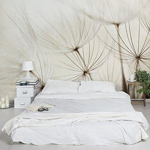 Apalis 94788 vlies/fotobehang zachte grassen breed | vliesbehang wandbehang muurschildering foto 3D fotobehang voor slaapkamer woonkamer keuken | Maat: 290x432 cm