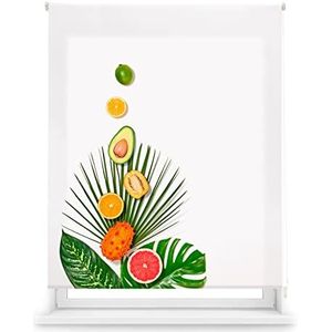 Blindecor TropicalFruit, lichtdoorlatend rolgordijn met digitale print, keuken, rolgordijn 130 x 180 cm (breedte x hoogte), stofgrootte 127 x 175 cm, digitale print