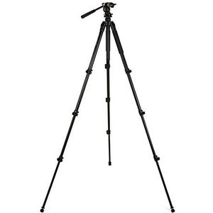 Celestron 82052 Regal Premium statief voor spotting scopes, verrekijkers, camera's en kleine telescopen, zwart