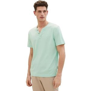 TOM TAILOR T-shirt voor heren, 35070 - Mint Grindle Structure, L