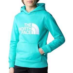 THE NORTH FACE Drew Peak Sweatshirt met capuchon Geyser Aqua 152