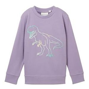 TOM TAILOR Sweatshirt voor jongens, 34604 - Dusty Purple, 116/122 cm