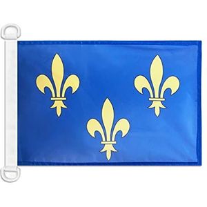 AZ FLAG Waterpaviljoen 3 leliebloesems, blauw en goud, 45 x 30 cm – bootvlag Koninkrijk Frankrijk, 30 x 45 cm