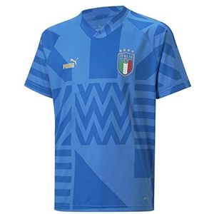 PUMA Figc Home Prematch Jr Pullover Unisex Baby