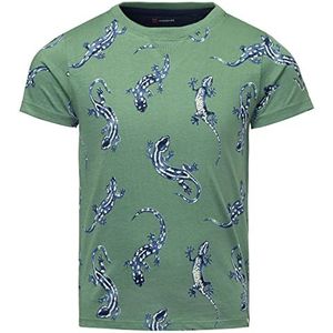 Noppies Gagnoa T-shirt met korte mouwen voor jongens en jongens, allover print T-shirt, Dark Ivy - P454, 92 cm