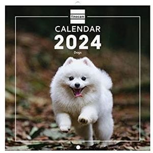Finocam - Kalender met afbeeldingen wandformaat 2024 januari 2024 - december 2024 (12 maanden) Dogs internationaal