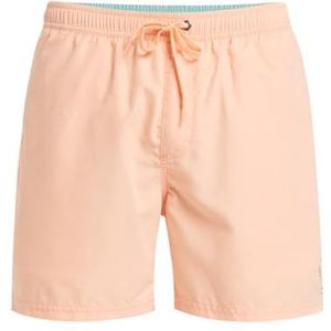 Quiksilver Boardshorts SPL FINELINE VOLLEY 15 Heren Roze M, Perzik Parfait, M