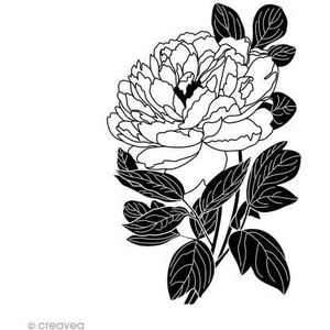 Artemio Tampons, nee, normaal