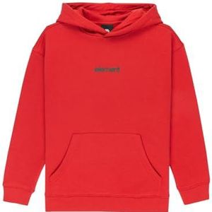 Element - Hoodie Lowcase Bp - Lava Falls - Met Capuchon - Lange Mouwen - 55% Katoen