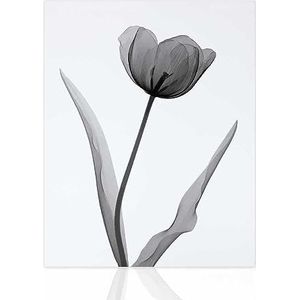 Declea Modern schilderij Pure Flowers print in zwart-wit - woonkamermeubel hoogwaardige print