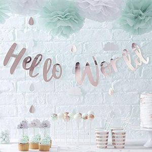 Ginger Ray Rose Gold Hallo wereld scripted baby shower unisex bunting banner
