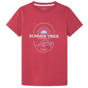 Hackett London Summer Vibes Tee T-shirt voor jongens, rood (Dusty Red), 2 jaar, Rood (Dusty Red), 24 Maaden