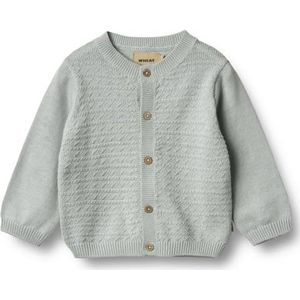 Wheat Gebreid jongensjack Bjørn GOTS-gecertificeerd, 1560 Soft Blue, 92