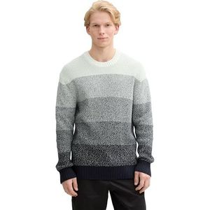 Trui - Knitwear - Gestreept - Ronde Hals - Lange Mouw