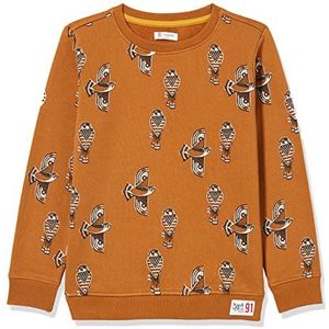 Noppies Kids Jongens B Sweater Ls Bansberia Pullover, Rubber - P646, 98 cm