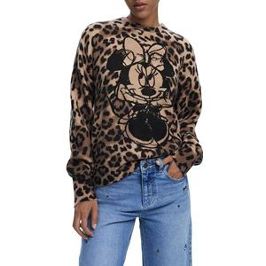 Desigual Dames JERS_Minnie Pullover Trui, Bruin, XS, Bruin, XS