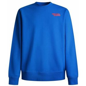Red Bull Racing X Pepe Jeans Heren REFLECT LOGO CREW Sweatshirt, Blauw (ELECTRIC BLAUW), L, Blauw (Electric Blue), L