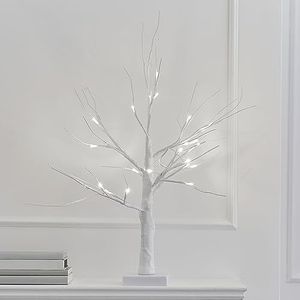 Ginger Ray Kerst Wit Takje Light Up Boom met LED Verlichting Tafelblad Open Haard Decoratie 40cm