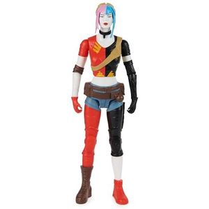 dc comics, Harley Quinn actiefiguur, 30 cm Super Hero Collectible Kids Toys voor jongens en meisjes, leeftijd 3+, 6069101