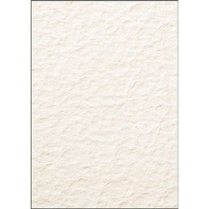 SIGEL DP244 TextuRed Schrijfpapier, papyrus motief, A4, 200 g/m², dubbelzijdig, 50 vel