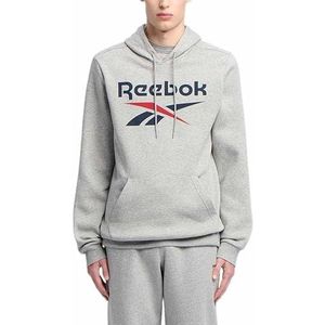 Reebok Identity Big Logo Fleece Hoodie, Mgreyh/Vecnav/Vecred, M