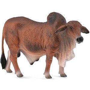 Byk Czerwony Brahman L