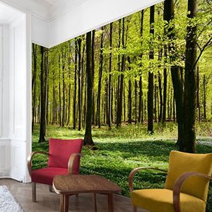 Apalis Bosbehang vliesbehang bosweide fotobehang bos breed | vlies behang wandbehang foto 3D fotobehang voor slaapkamer woonkamer keuken | meerkleurig, 94850