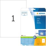 HERMA 5065 universele etiketten A4 groot (210 x 297 mm, 25 velles, papier, mat) zelfklevend, bedrukbaar, permanente klevende adreslabels, 25 etiketten voor printer, wit