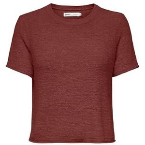 Only - ONLSUNNY S/S PULLOVER - Trui - Spiced apple - Korte Mouwen