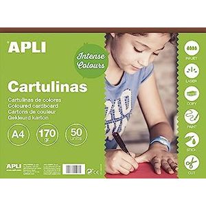 APLI 14245 - Bruin karton A4 170 g 50 vel