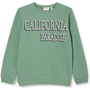 Koton Jongens-bedrukte trui met lange mouwen en ronde hals, Sage (983), 4-5 Jaar