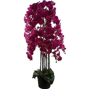 Leaf Design UK Realistische Kunstmatige Orchidee Bloem Display in Pot
