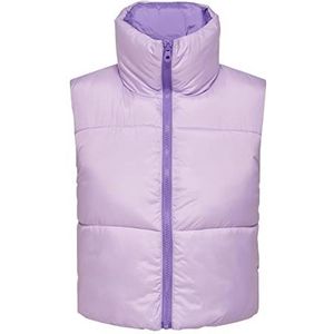 ONLY Dames Onlricky Short Rev. Waistcoat OTW Noos gewatteerd vest, Pastel Lilac/Detail: paisley paars, XL