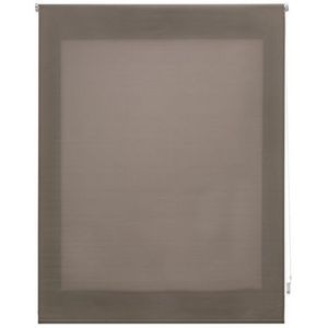 Uniestor Glad Rolgordijn - Doorschijnend 6x160x175 cm taupe