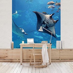 Apalis Vliesbehang Manta Ray fotobehang vierkant | vliesbehang wandbehang muurschildering foto 3D fotobehang voor slaapkamer woonkamer keuken | grootte: 336x336 cm, turkoois, 97831