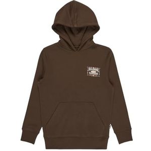 Billabong - Kids Foundation Hood - Hoodie - Bruin
