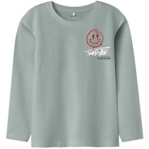 NAME IT Nkmnoel Ls Nreg Top Box, Jadzijde, 116