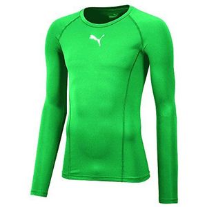 PUMA Liga Baselayer LS technisch shirt, heren, pepergroen, 48/50 (fabrikantmaat: M)