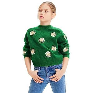 Desigual JERS_Flieur Pullover voor meisjes, groen, 10 Jaar