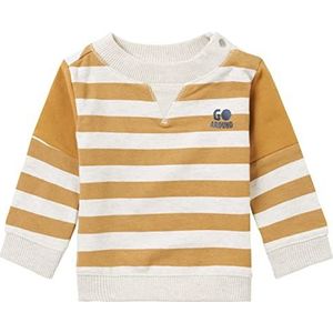 Noppies Baby Boys Sweater Maize Long Sleeve Pullover Kinderen, Apple Cinnamon - P005, 62 cm